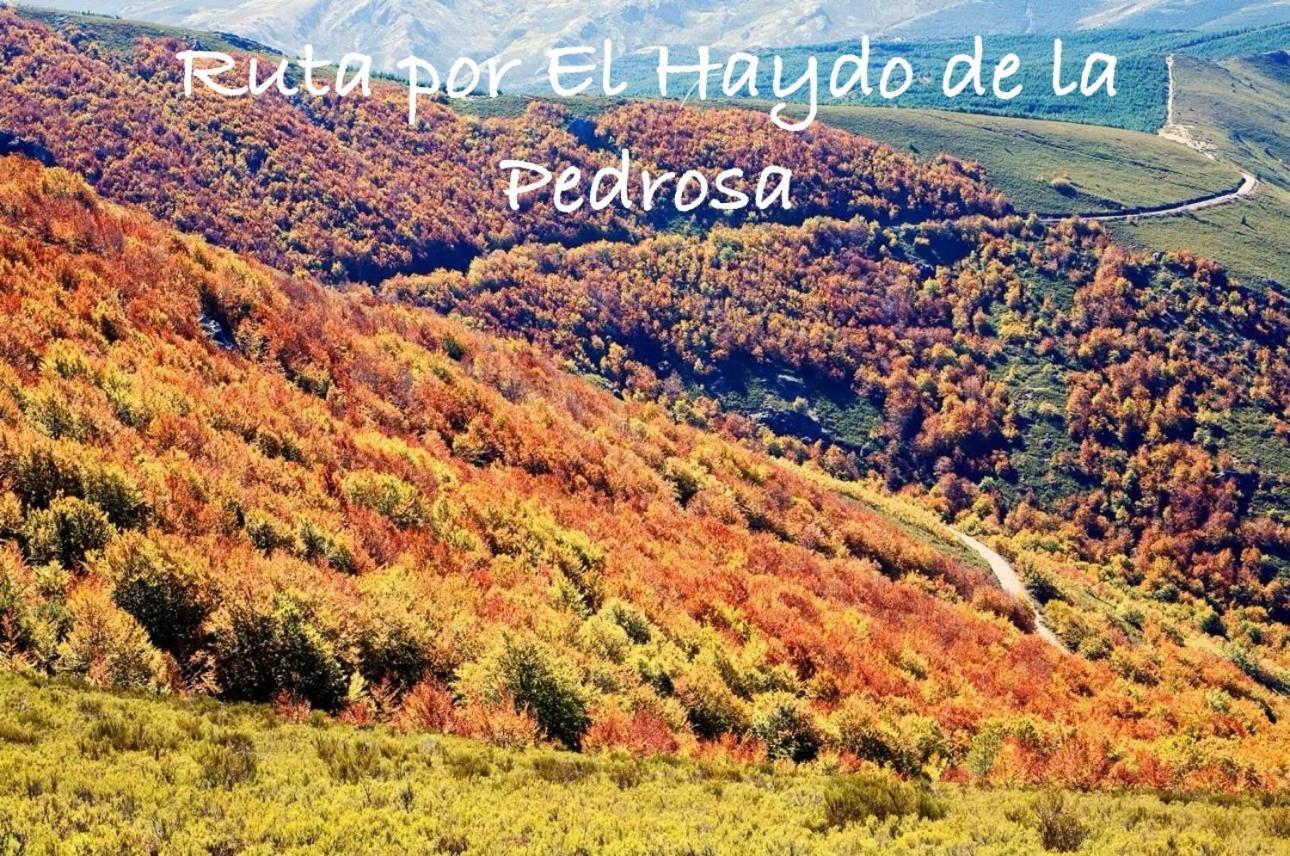 Casitas De Cerezo Cerezo de Abajo